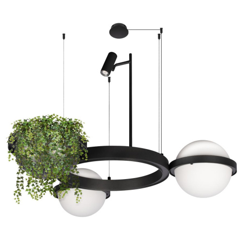 Подвесной светодиодный светильник Loft IT Jardin 10121/2 Подвесной светодиодный светильник Loft IT Jardin 10121/2