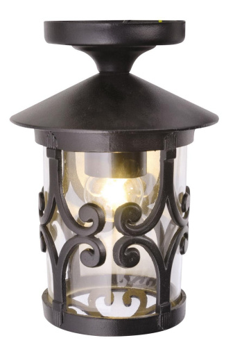 Уличный потолочный светильник Arte Lamp Persia A1453PF-1BK Уличный потолочный светильник Arte Lamp Persia A1453PF-1BK