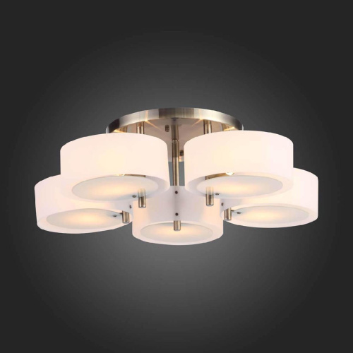 Потолочная люстра Evoluce Foresta SL483.352.05 Потолочная люстра Evoluce Foresta SL483.352.05