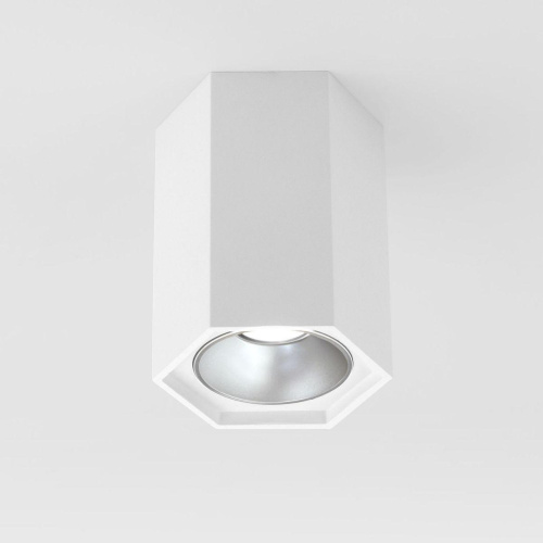 Потолочный светодиодный светильник Elektrostandard 25036/Led a055856 Потолочный светодиодный светильник Elektrostandard 25036/Led a055856
