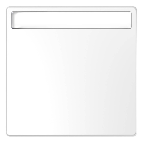 Клавиша одинарная Schneider Electric Merten D-Life MTN3360-6035 Клавиша одинарная Schneider Electric Merten D-Life MTN3360-6035