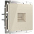 Телефонная розетка Werkel RJ11 слоновая кость WL03-RJ-11-ivory 4690389046254