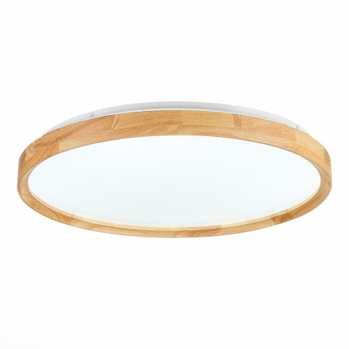 Потолочный сетодиодный светильник Evoluce Delia SLE201382-01 Потолочный сетодиодный светильник Evoluce Delia SLE201382-01