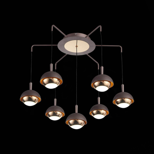 Подвесная светодиодная люстра ST Luce Entolla SL1602.323.07