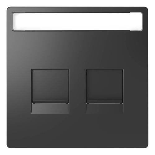 Накладка Schneider Electric Merten D-Life MTN4564-6034 Накладка Schneider Electric Merten D-Life MTN4564-6034