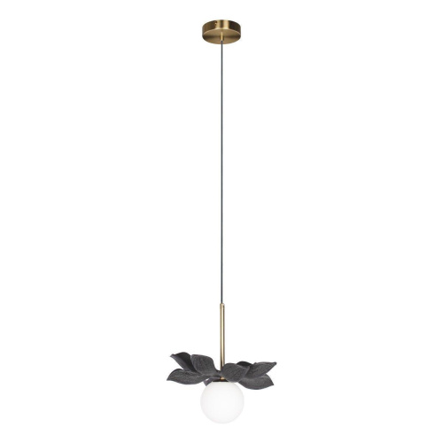 Подвесной светильник Loft IT Monro 10213/B Black Подвесной светильник Loft IT Monro 10213/B Black
