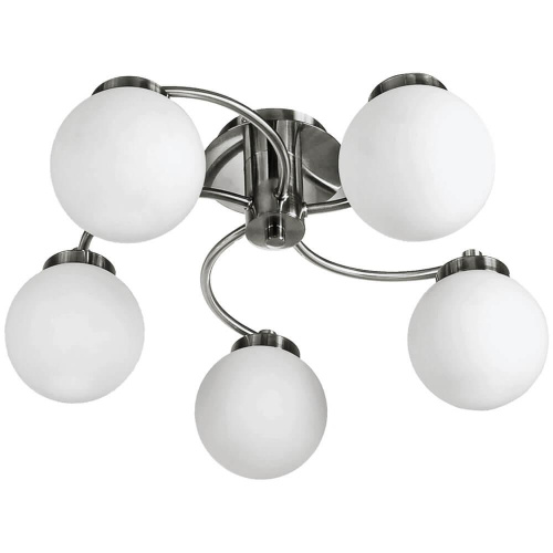 Потолочная люстра Arte Lamp Cloud A8170PL-5SS Потолочная люстра Arte Lamp Cloud A8170PL-5SS