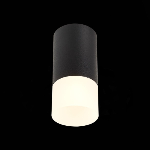 Потолочный светильник ST Luce ST100.412.01 Потолочный светильник ST Luce ST100.412.01