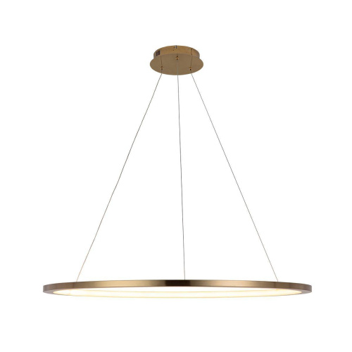 Подвесной светодиодный светильник Loft IT Ring 10014XL Подвесной светодиодный светильник Loft IT Ring 10014XL