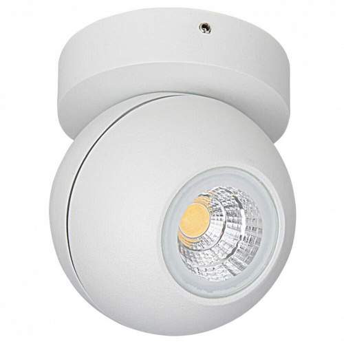 Спот Lightstar Globo 051006