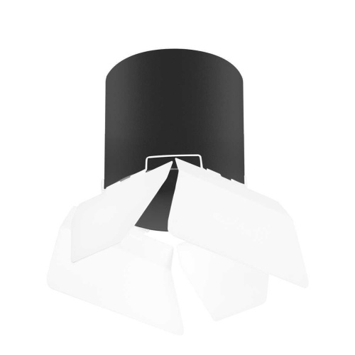 Потолочный светильник Lightstar Rullo (213487+202486) R3487486 Потолочный светильник Lightstar Rullo (213487+202486) R3487486