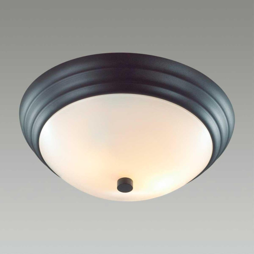 Настенно-потолочный Lumion Vintage Kayla 5263/2C Настенно-потолочный Lumion Vintage Kayla 5263/2C