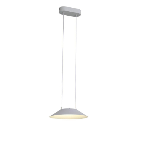 Подвесной светодиодный светильник ST Luce Pitto SL427.503.01