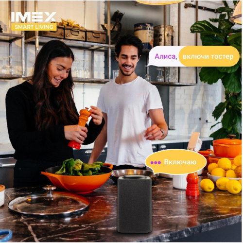Розетка Wi-Fi 2К+З 2хUSB IMEX 16A белая SML-221 WH Розетка Wi-Fi 2К+З 2хUSB IMEX 16A белая SML-221 WH