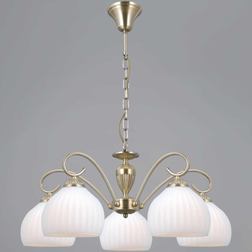 Люстра Illumico IL0695-5PSQ-24 AB CAPELLA Люстра Illumico IL0695-5PSQ-24 AB CAPELLA