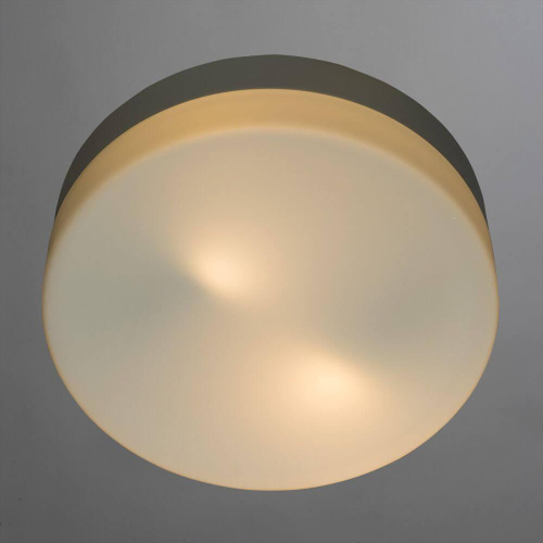 Потолочный светильник Arte Lamp Shirp A3211PL-2WH Потолочный светильник Arte Lamp Shirp A3211PL-2WH