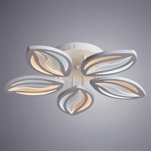 Потолочная светодиодная люстра Arte Lamp Daisy A1098PL-5WH Потолочная светодиодная люстра Arte Lamp Daisy A1098PL-5WH