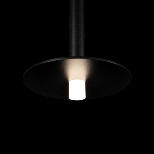 Подвесной светодиодный светильник Loft IT Reed 10358/830 Disk Подвесной светодиодный светильник Loft IT Reed 10358/830 Disk