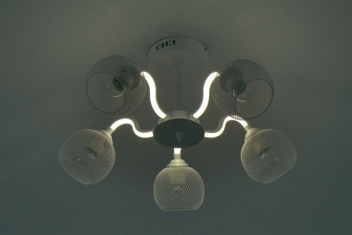 Потолочная люстра Escada 10238/5LED Потолочная люстра Escada 10238/5LED