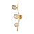 Настенный светильник Loft IT Sakura 10212W Gold