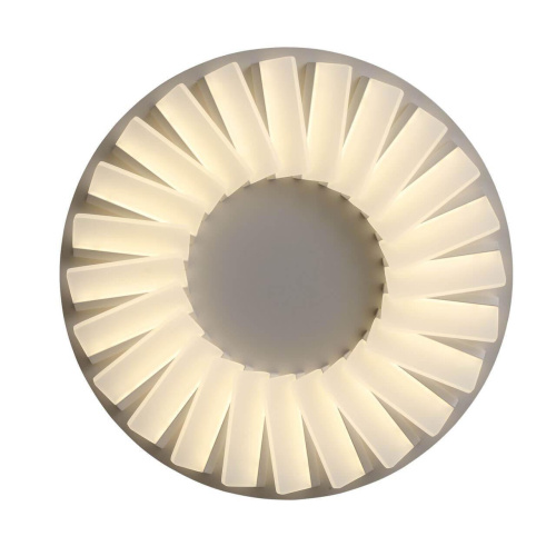 Потолочный светодиодный светильник ST Luce Tifoso SL837.502.24 Потолочный светодиодный светильник ST Luce Tifoso SL837.502.24