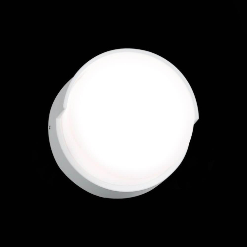 Уличный настенный светодиодный светильник ST Luce Linata SL090.511.01 Уличный настенный светодиодный светильник ST Luce Linata SL090.511.01