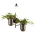 Настенный светильник Odeon Light Flower 4681/1W