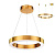 Подвесной светодиодный светильник Odeon Light Brizzi 3885/25LG