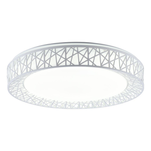 Потолочный светодиодный светильник Toplight Diana TL1204X-72WH Потолочный светодиодный светильник Toplight Diana TL1204X-72WH