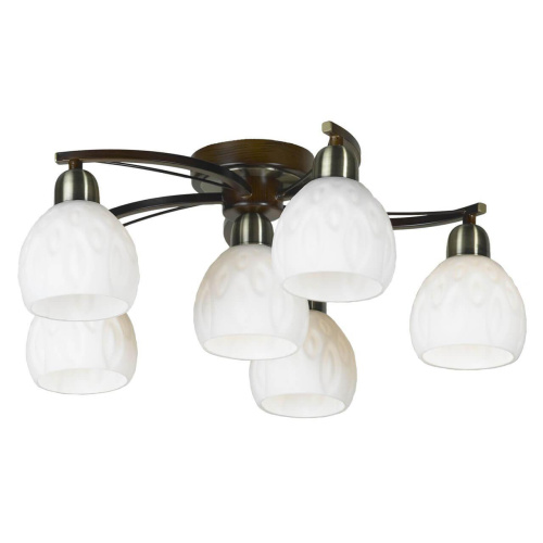 Потолочная люстра Lussole Concetta LSP-0045 Потолочная люстра Lussole Concetta LSP-0045