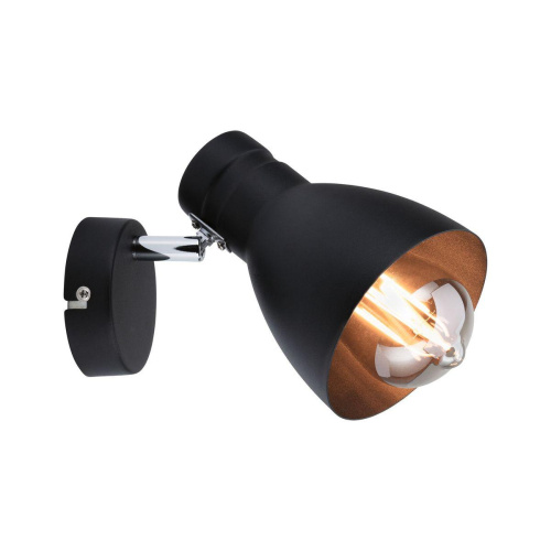 Спот Paulmann Davy 66759 Спот Paulmann Davy 66759
