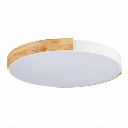 Потолочный сетодиодный светильник Evoluce Delia SLE201352-01 Потолочный сетодиодный светильник Evoluce Delia SLE201352-01