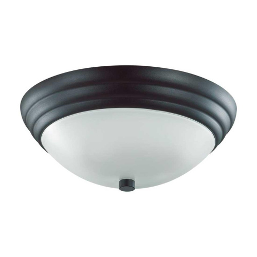 Настенно-потолочный Lumion Vintage Kayla 5263/2C Настенно-потолочный Lumion Vintage Kayla 5263/2C