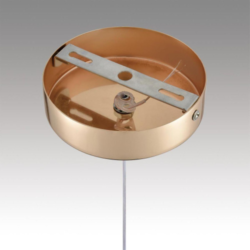 Подвесной светодиодный светильник Lumion Ledio Rimini 8083/1A Подвесной светодиодный светильник Lumion Ledio Rimini 8083/1A