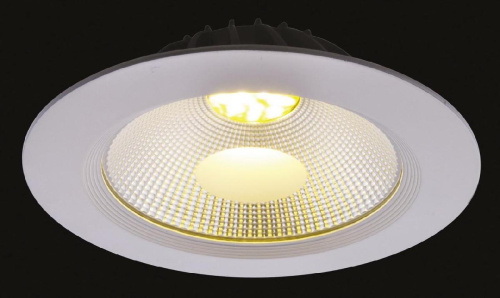 Встраиваемый светильник Arte Lamp Uovo A2415PL-1WH Встраиваемый светильник Arte Lamp Uovo A2415PL-1WH