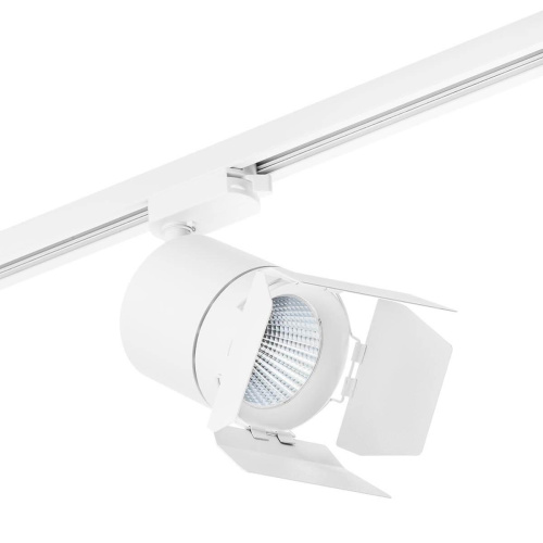 Трековый светодиодный светильник Lightstar Canno Led (301262+202996) C126296 Трековый светодиодный светильник Lightstar Canno Led (301262+202996) C126296