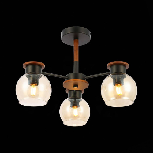 Потолочная люстра Evoluce Rasco SLE108102-03 Потолочная люстра Evoluce Rasco SLE108102-03