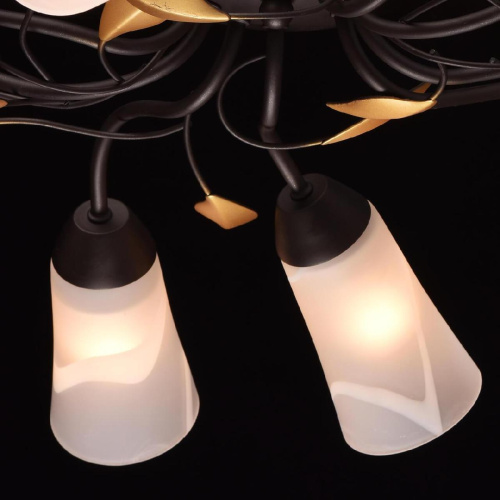 Потолочная люстра MW-Light Восторг 242015410 Потолочная люстра MW-Light Восторг 242015410