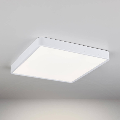 Потолочный светодиодный светильник Elektrostandard DLS034 24W 4200K a043018 Потолочный светодиодный светильник Elektrostandard DLS034 24W 4200K a043018