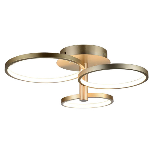 Потолочная люстра ST Luce SL869.202.03 Потолочная люстра ST Luce SL869.202.03