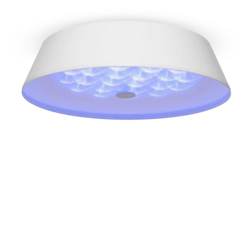 Потолочный светодиодный светильник Freya Cells FR10013CL-L24W Потолочный светодиодный светильник Freya Cells FR10013CL-L24W