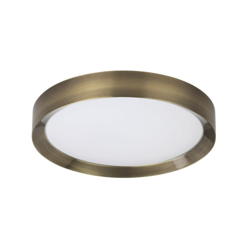 Потолочный светодиодный светильник Odeon Light Walli Lunor 4948/45CL Потолочный светодиодный светильник Odeon Light Walli Lunor 4948/45CL