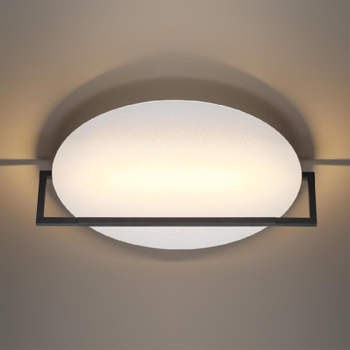 Настенно-потолочный светодиодный светильник Odeon Light Hightech Lunar 7015/20WL Настенно-потолочный светодиодный светильник Odeon Light Hightech Lunar 7015/20WL