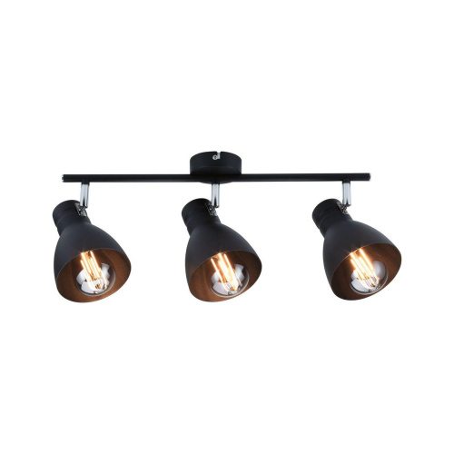 Спот Paulmann Davy 66761 Спот Paulmann Davy 66761