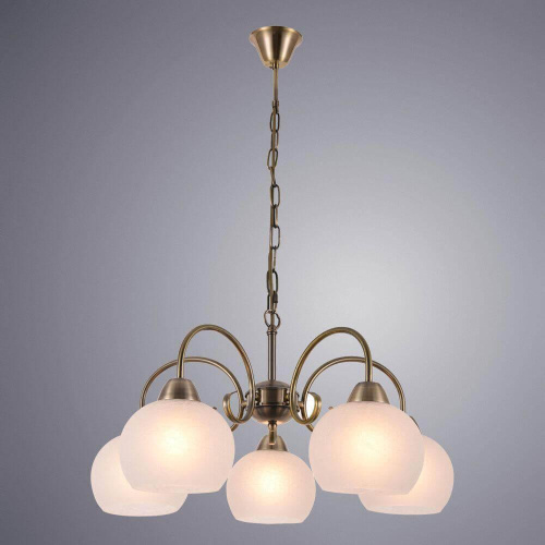 Подвесная люстра Arte Lamp A9317LM-5AB Подвесная люстра Arte Lamp A9317LM-5AB