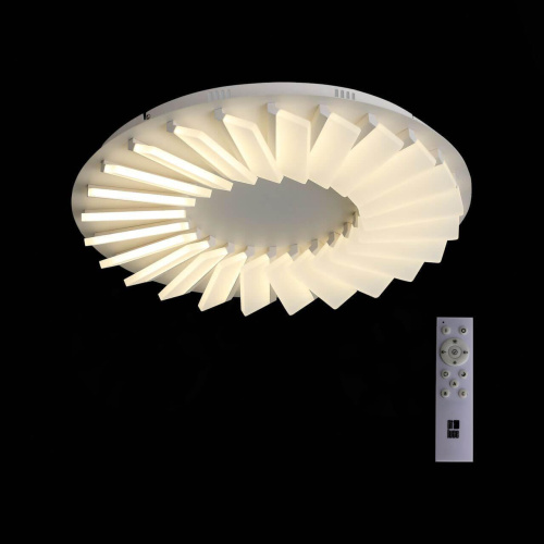 Потолочный светодиодный светильник ST Luce Tifoso SL837.502.24 Потолочный светодиодный светильник ST Luce Tifoso SL837.502.24