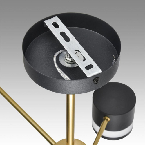 Потолочная люстра Lumion Comfi Lanika 8240/6C Потолочная люстра Lumion Comfi Lanika 8240/6C