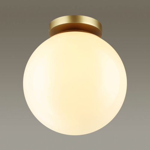 Потолочный светильник Odeon Light Bosco 4248/1C Потолочный светильник Odeon Light Bosco 4248/1C