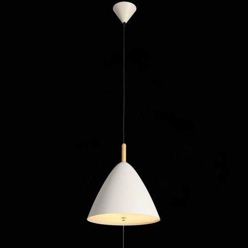Подвесной светильник ST Luce Codel SL522.513.01 Подвесной светильник ST Luce Codel SL522.513.01