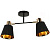 Спот Illumico IL6116-2COU-79 BK GD